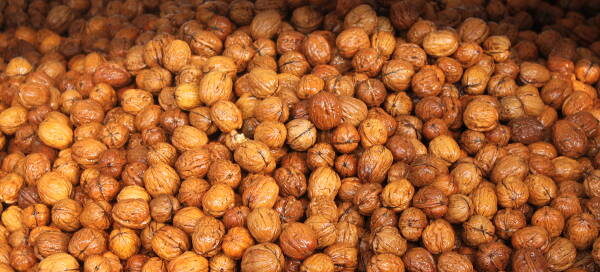 propiedades nueces