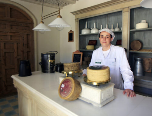 NP «9 Motivos para regalar el queso Dehesa de Los Llanos esta Navidad»