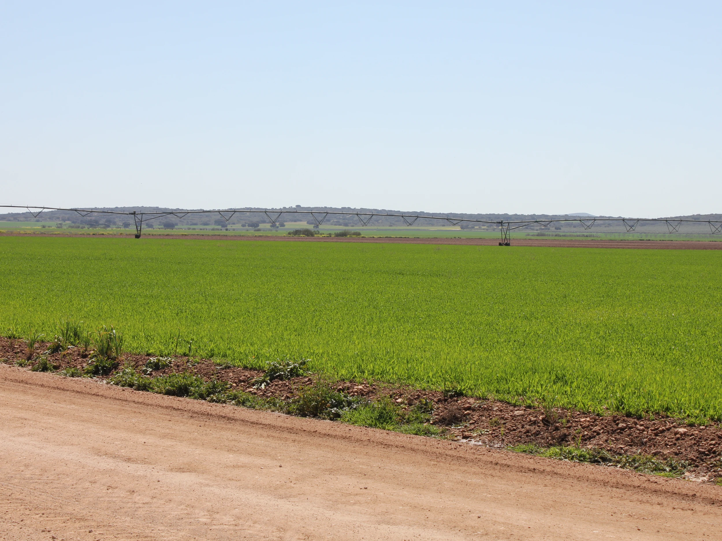 la historia de dehesa los llanos en Albacete