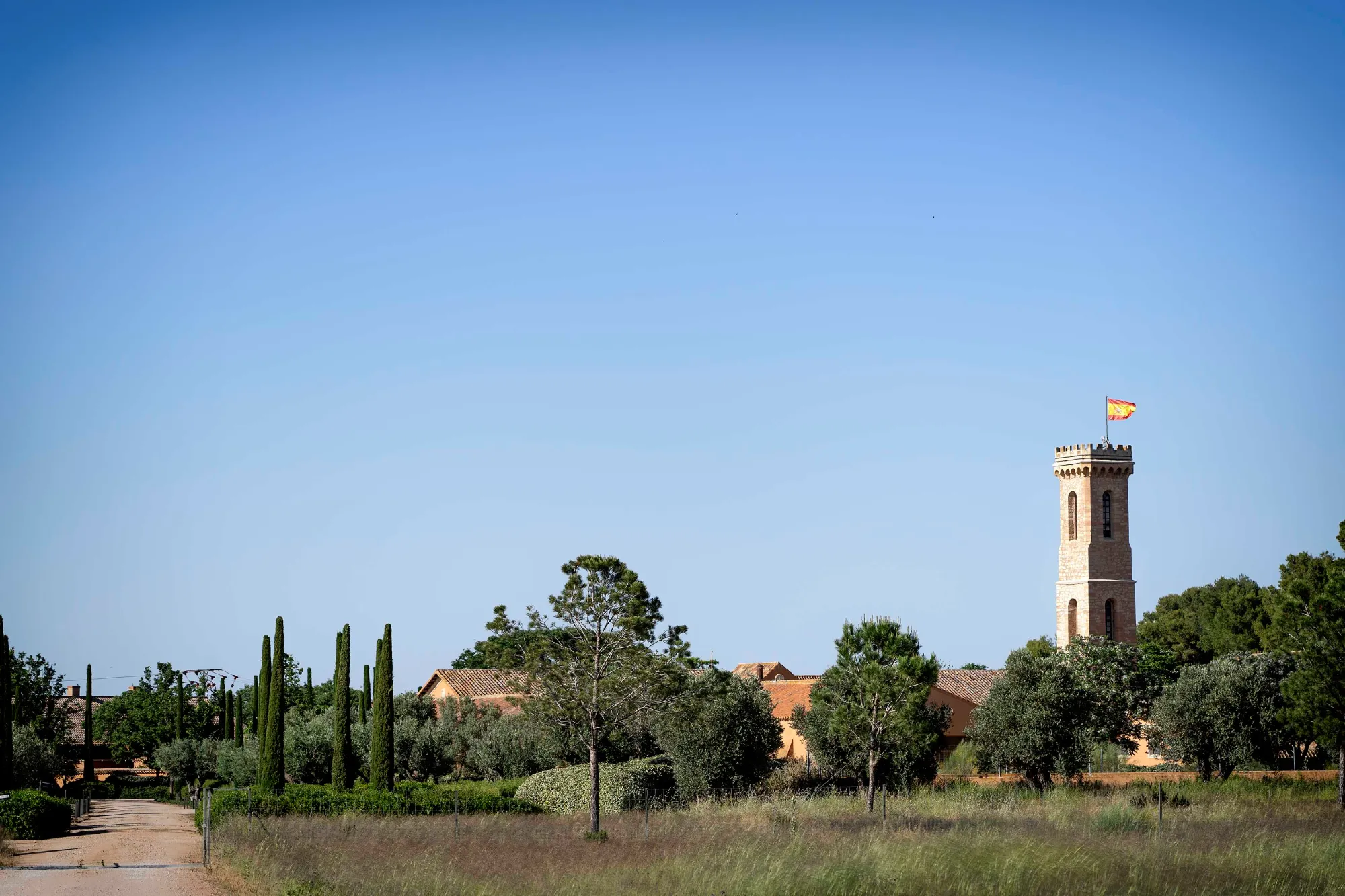 la historia de dehesa los llanos en Albacete